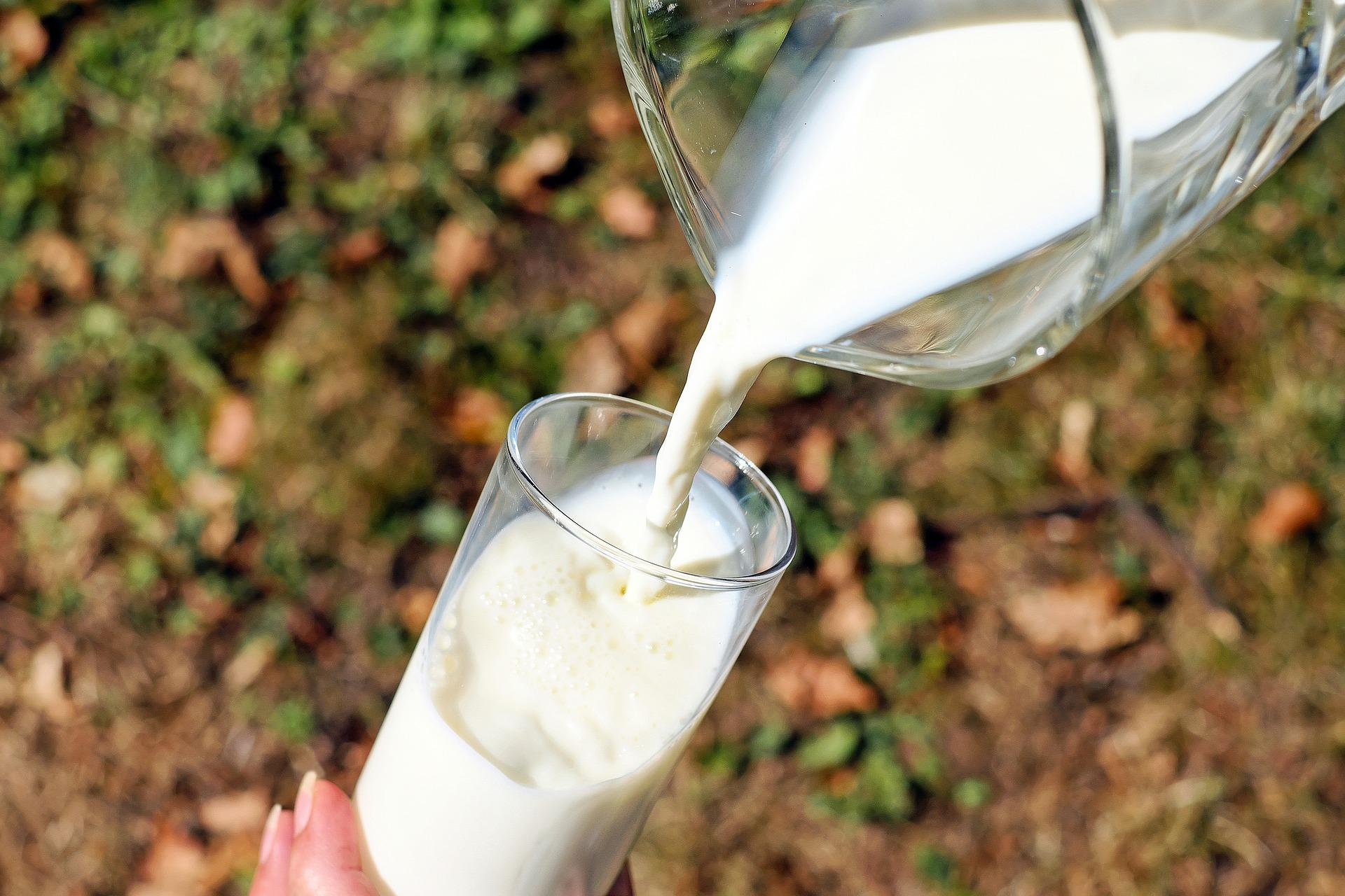 Zobeno mlijeko kao zdrava alternativa kravljem mlijeku