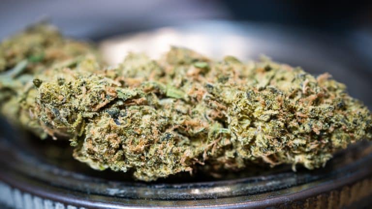 Omiš: Kod 53-godišnjaka pronađeno više od kilograma hašiša i stabljike marihuane