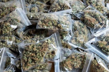 Podgora: Kod 34-godišnjaka pronađena oprema za uzgoj marihuane