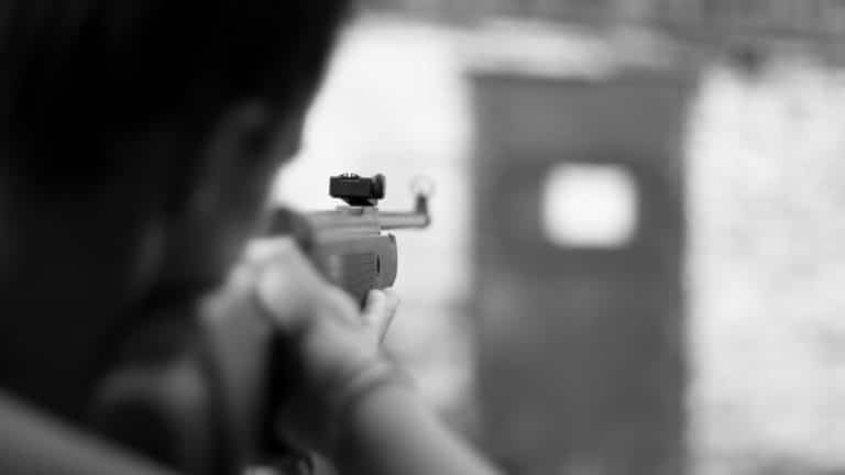 Sinj: Zračnom puškom usmrtio psa