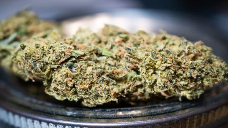 Kriminalističko istraživanje u Splitu: 48-godišnjak osumnjičen za neovlaštenu proizvodnju i promet drogama