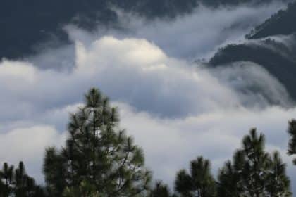 Neobičan prirodni fenomen na Kozjaku: Prelijevanje magle prema moru pod mjesečinom