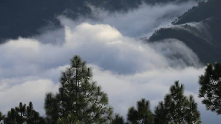 Neobičan prirodni fenomen na Kozjaku: Prelijevanje magle prema moru pod mjesečinom