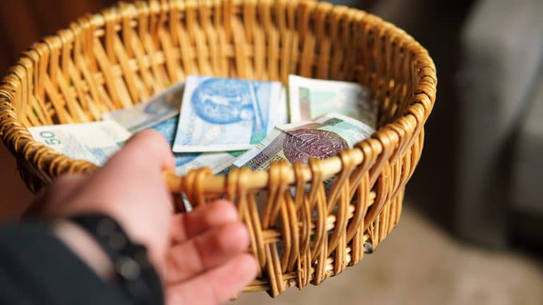 Dubrovačko-neretvanska: Predsjednik udruge preko 12 tisuća eura potrošio za sebe, umjesto na životinje o kojima je udruga brinula