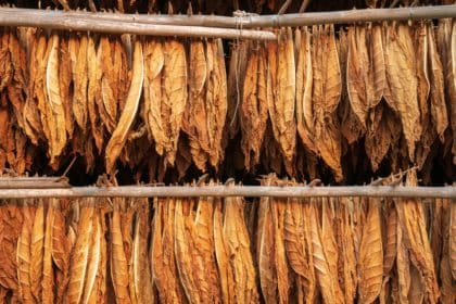 Split: Pronađeno više od 700 kilograma rezanog duhana