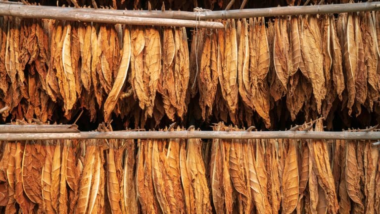 Split: Pronađeno više od 700 kilograma rezanog duhana