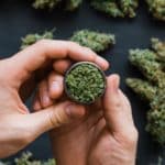 Zapljena droge u Šibeniku: Kod 26-godišnjaka pronađena marihuana i oprema za vaganje