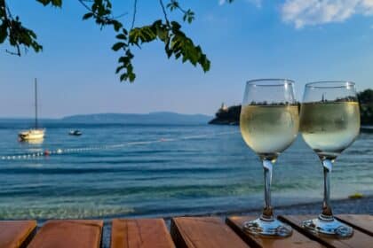 Koja dalmatinska vina probati? Donosimo 7 najboljih etiketa