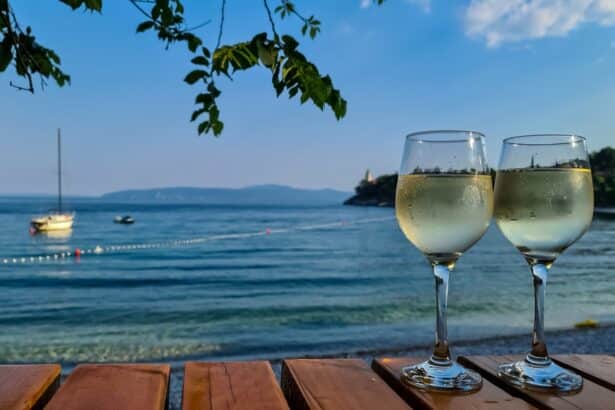 Koja dalmatinska vina probati? Donosimo 7 najboljih etiketa